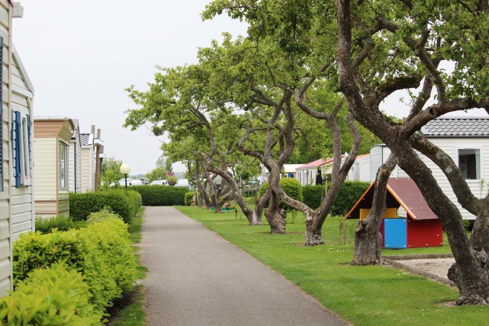 Siblu camping in de Bongerd Oostkapelle Bagian luar foto